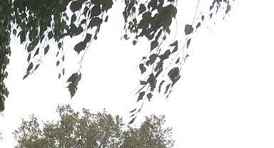 Babaeski’de Günlük Hava Durumu: En Düşük 18, En Yüksek 34 Derece