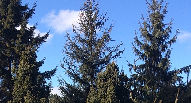 Babaeski’de Hava Durumu: Parçalı Bulutlu ve Güneşli Bir Gün Bekleniyor