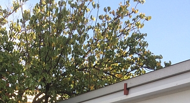 Babaeski’de Yarın Hava Az Bulutlu ve Sıcak Olacak