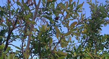 Babaeski’de Yarın Hava Durumu: Güneşli ve Sıcak Bir Gün Bekleniyor