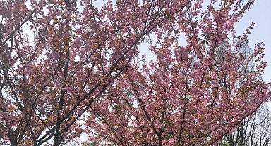 Babaeski’de Yarın Parçalı Bulutlu ve Sıcak Hava Etkili Olacak