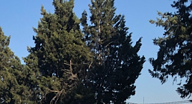 Babaeski'de Yarın Sağanak Yağış Uyarısı!