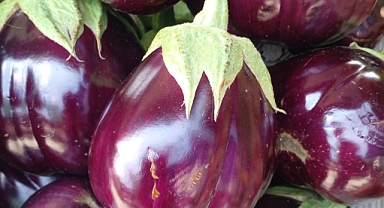 Babaeski Perşembe Pazarı’nda Patlıcana Yoğun İlgi