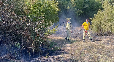 Demirköy'de Orman Yangını Hızla Kontrol Altına Alındı 