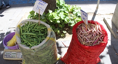 Dokuzhüyük Taze Fasulye ve Barbunya'sı Pazara Çıktı 