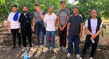 Edirne’de 9 kaçak göçmen yakalandı