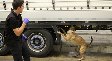 Edirne'deki operasyonlarda 96 kilo uyuşturucu ele geçirildi; 3 tutuklama