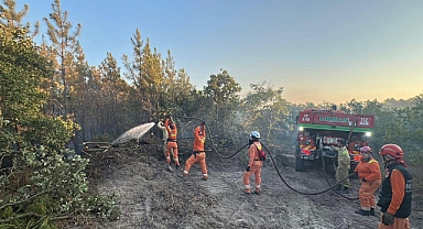 Edirne'deki orman yangını 16 saatte kontrol altına alındı
