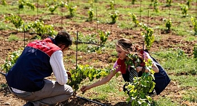 Eskibedir Köyü’nde Zararlı Etmenlere Karşı Numune Çalışması