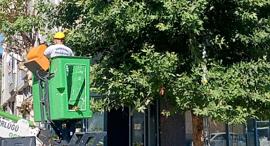 Gazi Kemal Mahallesi’nde Düzenli Bakım Çalışmaları Memnuniyet Yarattı