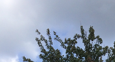 Gece 18, Gündüz 34 Derece! İşte Babaeski’nin Yarınki Hava Durumu