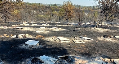 Karamesutlu'daki Yangında 150 Arı Kovanı Zarar Gördü 