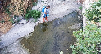 Kırklareli Belediyesi'nden Vektörlerle Kararlı Mücadele 