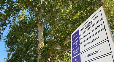 Kırklareli Dingiloğlu Parkı'nda Ağaçlar Korunarak İnşaat Sürüyor 