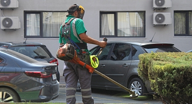 Kırklareli'nde Peyzaj Çalışmalarıyla Yeşil Alanlar Canlanıyor 