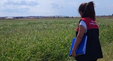 Lüleburgaz’da Çeltik Ekiliş Alanlarında Düzenli Denetim