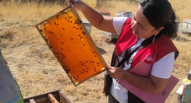 Pınarhisar'da Arıcılık Sektörüne Destek 