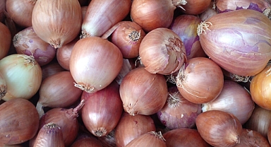 Sağlıklı Yaşamın Sırrı: Günlük Soğan Tüketimiyle Gelen Faydalar