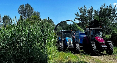 Tarla Günü Etkinliğiyle Yerli Tohumlar Tanıtıldı 