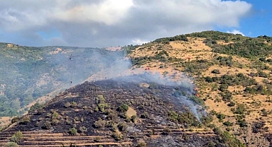Tekirdağ'da makilik yangını, ormana sıçramadan söndürüldü