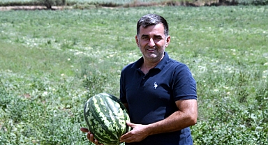 Tekirdağ'da Türkmenli Göleti'nde su seviyesi düştü, karpuz ekimi azaldı