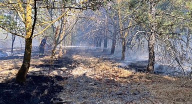 Tekirdağ'daki anız yangını ormana sıçradı; kontrol altında