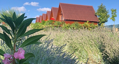 Yaz Tatilinde Bungalov Ev Konforu: Doğayla İç İçe Keyifli Bir Deneyim