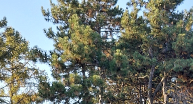 Babaeski’de Yarın Hava Durumu: Parçalı Bulutlu Bir Gün Bekleniyor