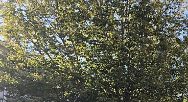 Babaeski’de Yarın Hava Durumu: Sıcaklık 30 Dereceye Kadar Çıkacak