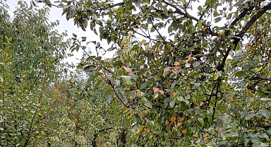 Babaeski’de Yarın Hava Nasıl Olacak?