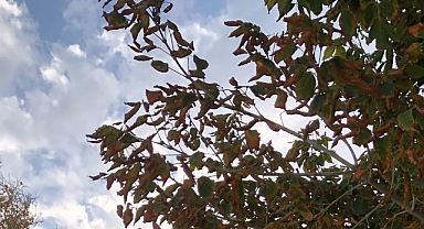 Babaeski’de Yarın Parçalı Bulutlu Hava Hakim Olacak