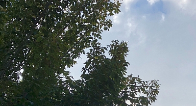 Babaeski’de Yarın Sıcaklık 36 Dereceyi Bulacak