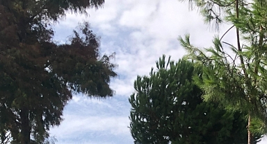 Babaeski Hava Durumu: Yarın Parçalı Bulutlu Bir Gün Bekleniyor