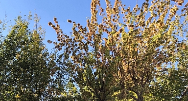 Babaeski Hava Durumu: Yarın Parçalı Bulutlu Hava Bekleniyor