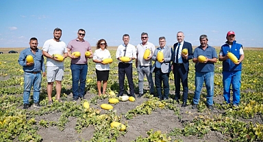 Çorlu'nun İlk Coğrafi İşaretli Ürünü Seymen Kavununun Hasadı Başladı