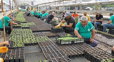 EDİRNE BELEDİYESİ’NDEN ŞEHRİ RENKLENDİRECEK 360 BİN HERCAİ MENEKŞE