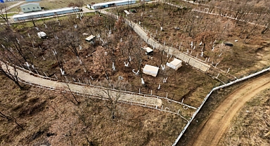 Edirne’de sokak hayvanları için oluşturulan ‘doğal yaşam alanı’nda çalışmalar sürüyor