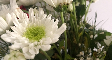 Hediye Çiçek Almak: Sevdiklerinize Duygularınızı En Güzel Şekilde İfade Edin