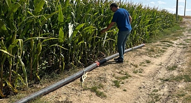 İkinci Ürün Silajlık Mısır Kontrolleri Başladı