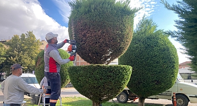 Kırklareli Belediyesi'nden Otogarda Peyzaj Düzenlemesi 