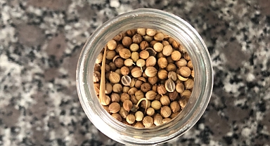 Kişniş: Sağlık ve Lezzetin Doğal Kaynağı