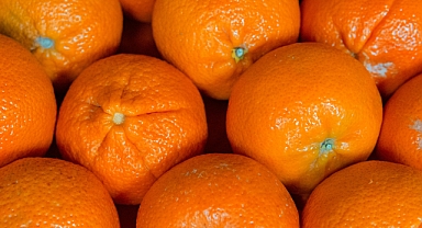 Mandalina: Sağlık ve Lezzetin Buluştuğu Meyve