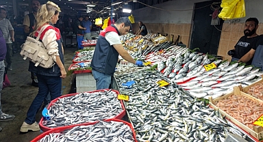 Sağlıklı Balık Tüketimi İçin Düzenli Denetimler Sürüyor 