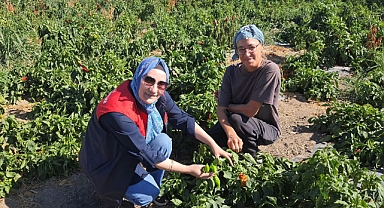 Tarımda Yerinde Destek ve Bilgilendirme