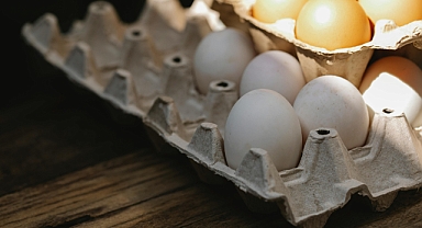 Temmuz’da Yumurta, Tavuk Eti ve İçme Sütü Üretimi Arttı