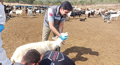 Üreticilere Biyogüvenlik Uyarısı