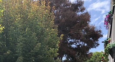 Yarın Babaeski’de Hava Parçalı Bulutlu Olacak