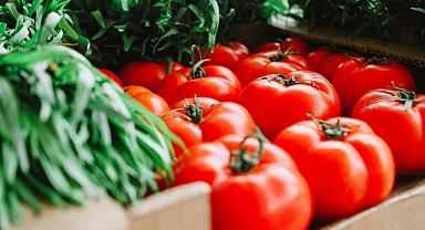 16 Ekim Dünya Gıda Günü: Sürdürülebilir Beslenme ve Açlığa Karşı Küresel Mücadele