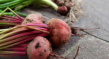 2025-2026 Şeker Pancarı Alım Fiyatını Açıklandı