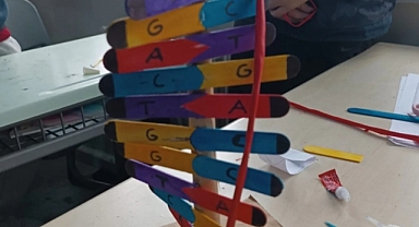 Babaeski Atatürk Ortaokulu Öğrencileri Kendi DNA Modellerini Tasarladı